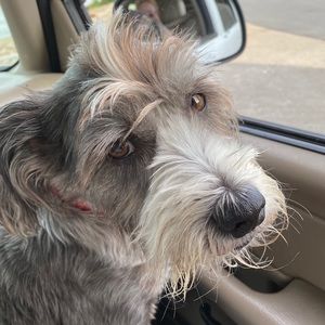 Meet your Posher, Mitzi